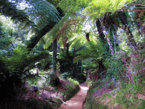 Abel Tasman National Park